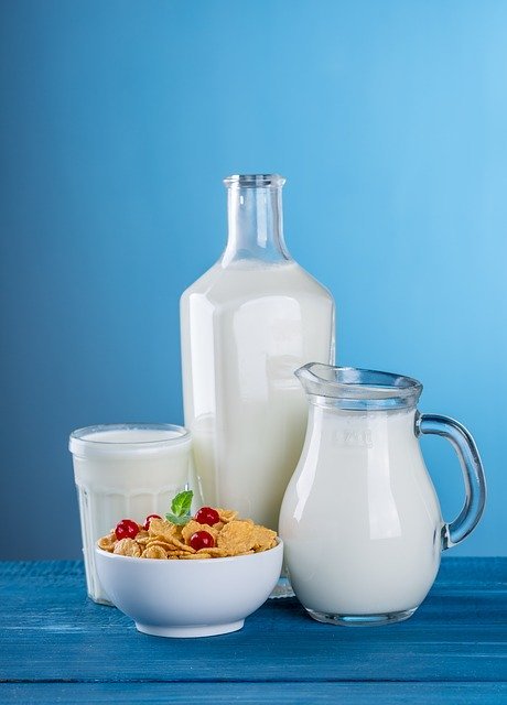 Which milk is best for diabetics