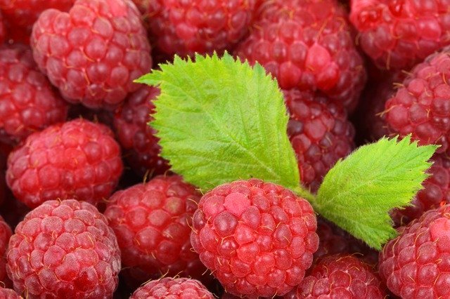 Raspberries for Diabetes