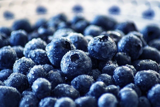 blueberries for diabetes