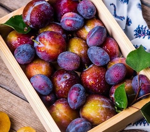 plums-and-diabetes - A1CGUIDE