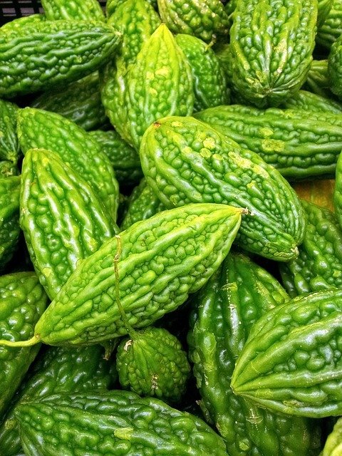 Bitter Gourd Juice for Diabetes A1CGUIDE