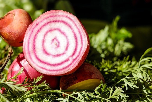 is turnip good for diabetes