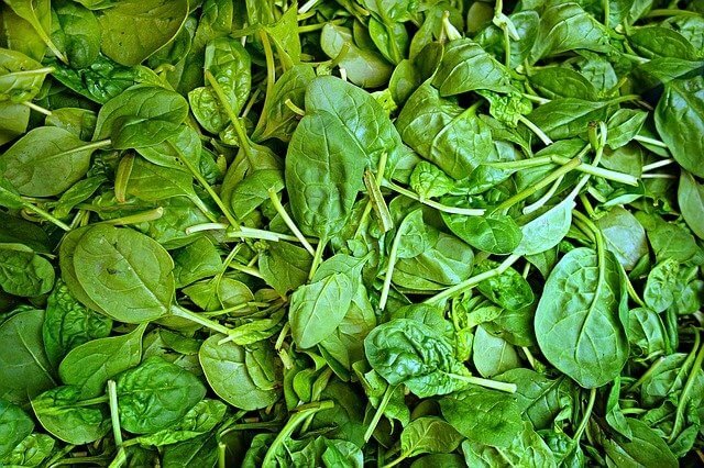 can diabetics eat spinach