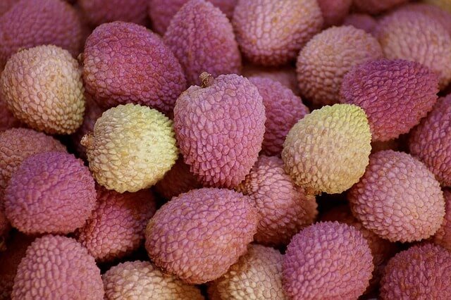 litchi and diabetes