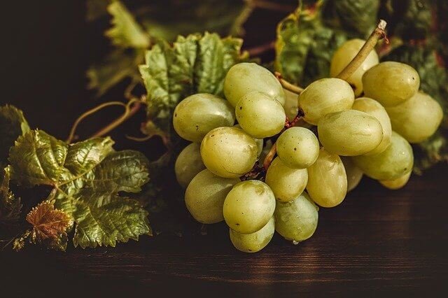 can diabetics eat grapes