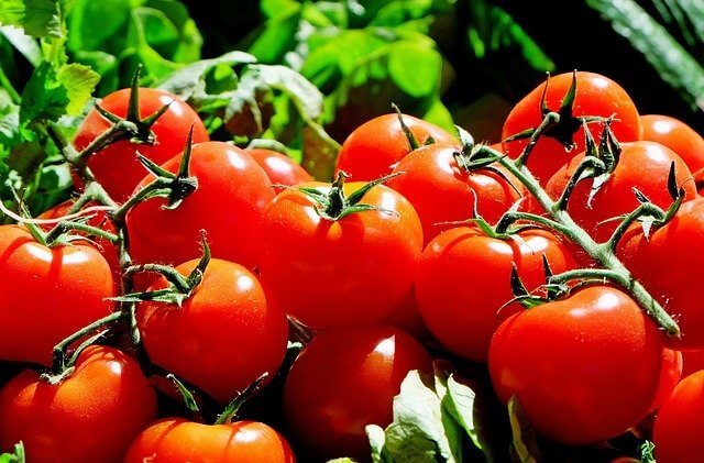 can diabetics eat tomatoes