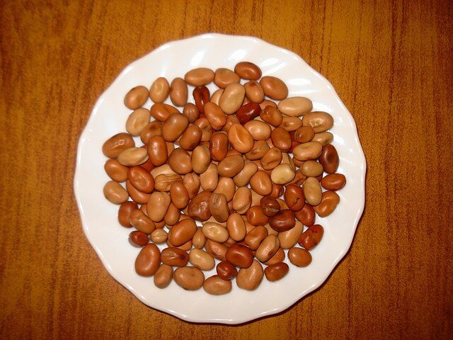 fava beans glycemic index