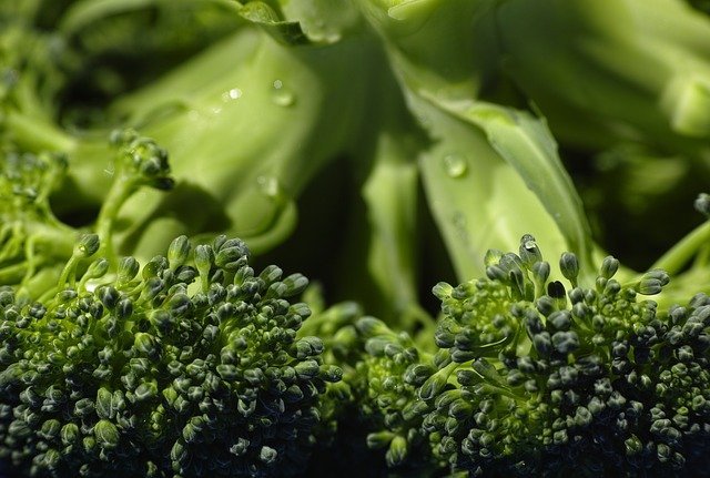 can diabetics eat broccoli