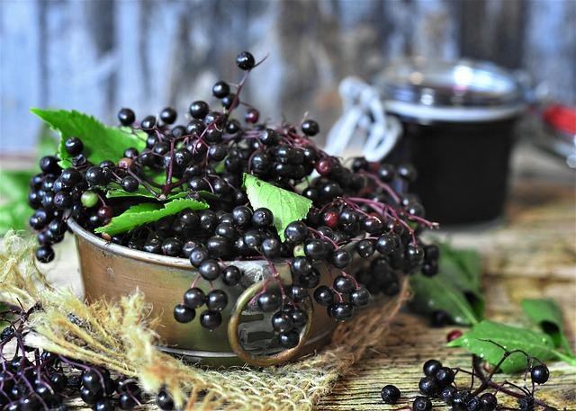 If you want to now about elderberry for diabetes then you should read our post and understand more about diabetes and elderberry.