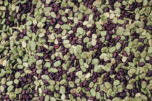 are lima beans good for diabetics