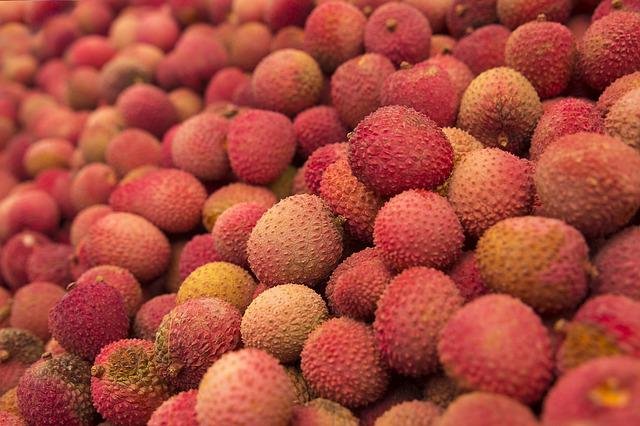 lychee for diabetes