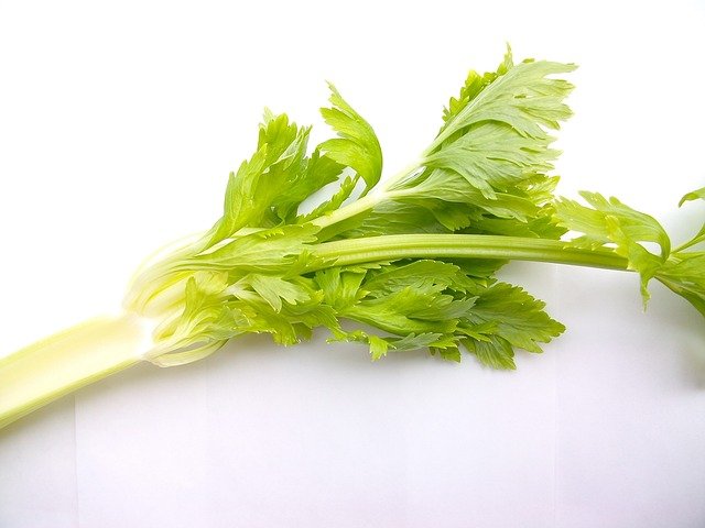 is celery good for diabetics