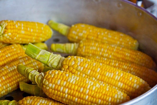 is corn good for diabetics