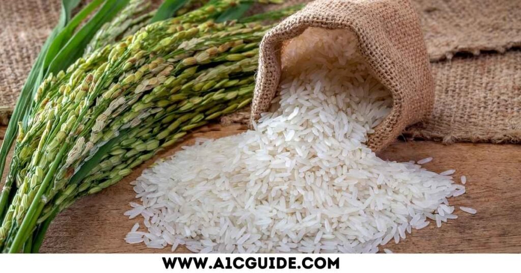 is jasmine rice good for diabetics